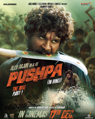 Pushpa: The Rise