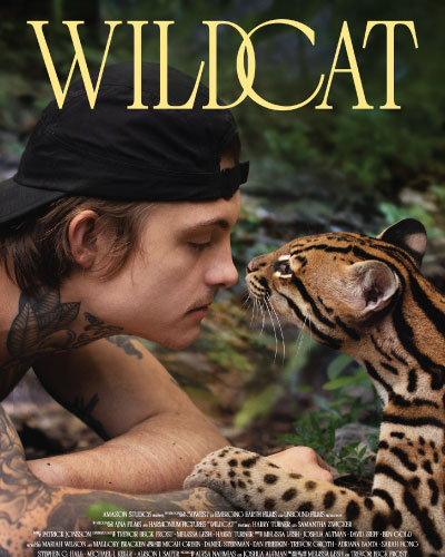 Wildcat