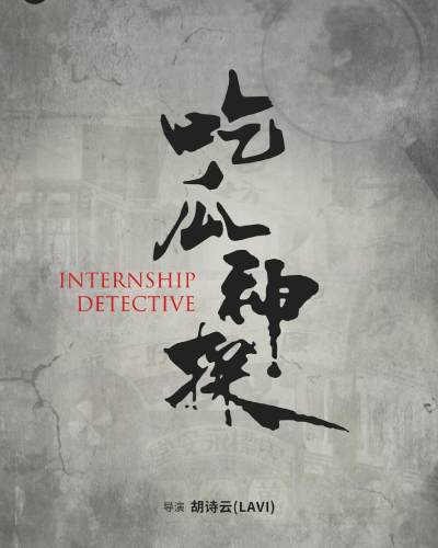 Internship Detective