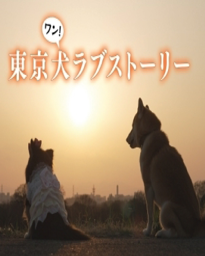 Tokyo Inu Love Story